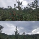 재숙농장 이미지