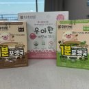 포켓서울 | 서울대학교 1분 포켓국 내돈내산 후기