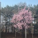 e보건소|산전 검사|가임력 검사|총 검사비|나라 지원|임신사전건강관리 지원 신청|청구 방법|청구 후기