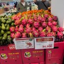 한국지엠 동김해 지정서비스 | 2026, JAN ㅣ 다낭&amp;호이안 가족여행 기록