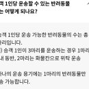 명애견센터 이미지