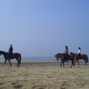 이곳 저곳 재미있는 곳들 ..... 이미지