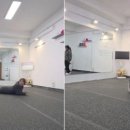 도그동물농장 이미지