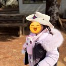 동화목장 | 제주 아이와 가볼만한곳 목장카페 밭디 승마 체험 후기 말 먹이주기까지 완벽(8살 아이랑 재방문)