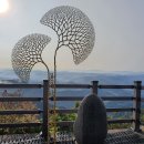 【제502차 정기산행】 양평 용문산(1,157m) 6/20(토) 이미지