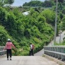 소금 - 24597 | 소금