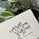 붓펜 캘리그라피 이미지