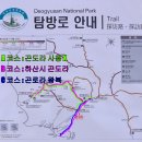 제241회 2월 정기산행 덕유산 (2024.2.4) 이미지