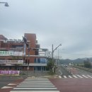 139 | 2025 시흥하프마라톤 대비 139 지속주 훈련 후기