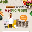 프롬케이 이미지