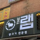 THE램 이미지