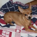 우리단비랑 이미지