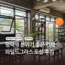 원평로105번길 | 평택 커피 맛집, 와일드그라스, 레몬 커스터드 타르트 후기