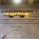 나무(NAMU) 이미지