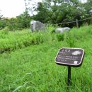 오조산공원 바닥분수 이미지