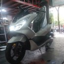 피시스토리 이미지