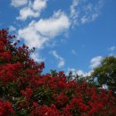 두류공원 이미지