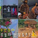 유림충전소 | 부산 무료전시 복천박물관 위치 주차장 짐보관 역사 체험