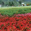 해여림식물원 이미지