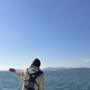 여수 요트투어 추천 퍼스트마린 불꽃놀이 예약 가격 후기