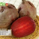 겨울철 자주 먹어야 할 뿌리채소들 이미지