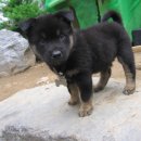 종합카세차장 이미지