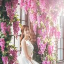 나드리사진관