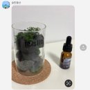 철길부산집화성새솔점 네이버블로그