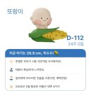 이삭세탁소 | 🧸23-24주/ 컨디션 최상, 해수욕장 수영🌊