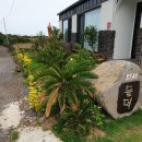 스테이돌덕 이미지