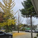 은대리 쉼나루 이미지