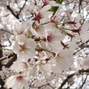 아구대통령 이미지