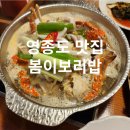 맛나서 반갑습니다 | 영종도 하늘도시 맛집 봄이보리밥 쭈꾸미꽃게탕과 파전후기