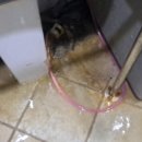 조양로33번길 이미지