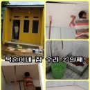 복순이네 이미지