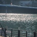 수영교 | 영화의 전당 걸어가기! 그리고 영화 국보, 마이 선샤인 관람후기