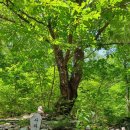 운문사사리암주차장 | 청도 가볼만한곳 운문사 사리암 등산 후기🐾