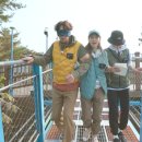 플러스존2 이미지