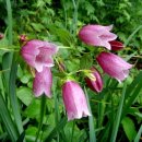 자연다움 이미지