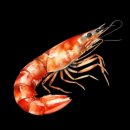 판교365의원 이미지