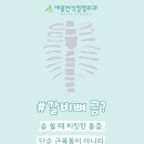 세종반석정형외과 네이버블로그