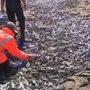 광경목장 이미지