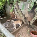 봉자농장 이미지