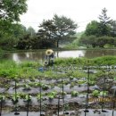 백마농장3 이미지