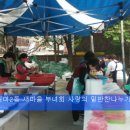 완도23호 이미지