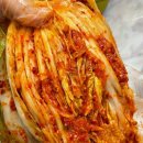 현채, 일상로그ㅣ세라비움 / 12일차 후기 / 일상루틴 / 화창한 날씨