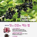 왕베리농원 이미지