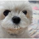 복남슈퍼 이미지