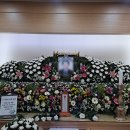 푸른솔병원