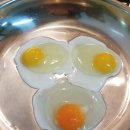 이철규농장 | 스텐후라이팬 아직 망설이고 계신분들께 드리는 계란후라이 후기